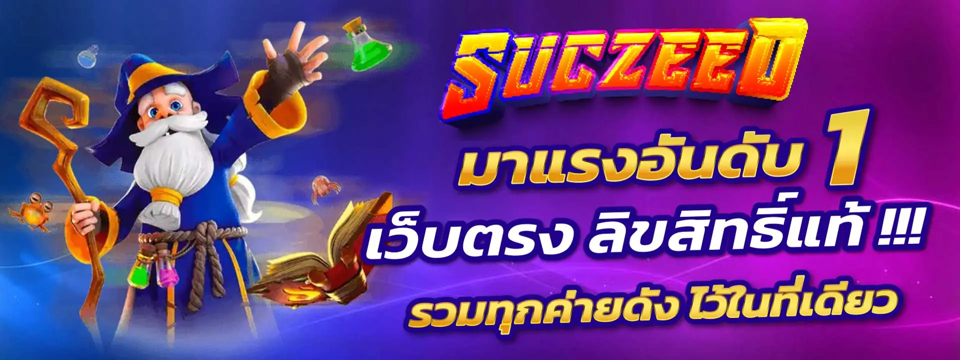 suczeeds 02